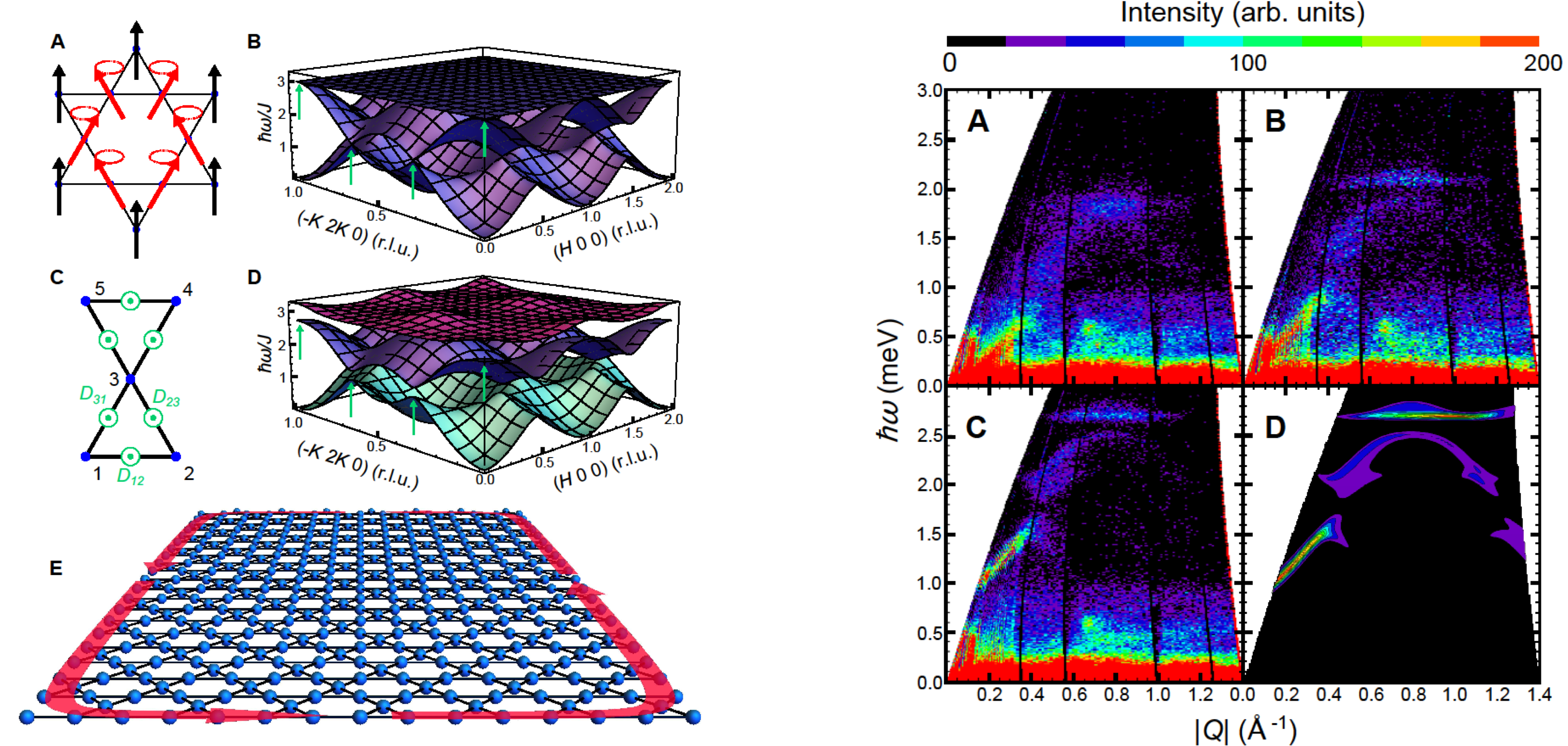 topological_magnons